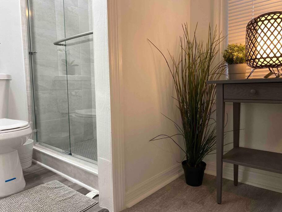Chic Bungalow Apartment Steps From Armature Works & Downtown Riverwalk Tampa Dış mekan fotoğraf